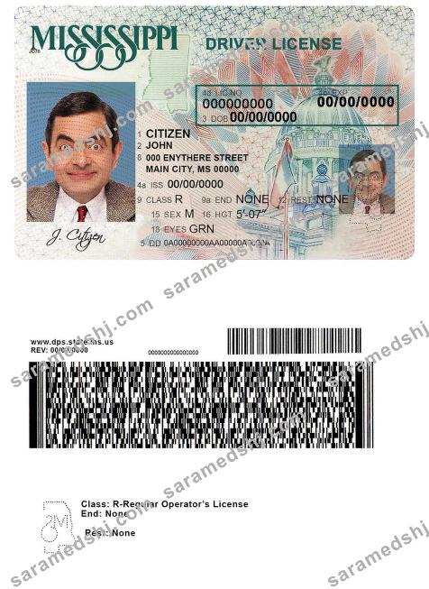 USA Mississippi driving license